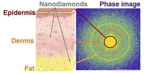 Scientists Develop Nanodiamond Technology for Transdermal Delivery of Medicines and Cosmetics