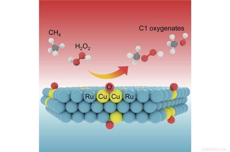 Single-Atom Cu Catalysts in 2D Lattices Achieve Methane Conversion at Room Temperature