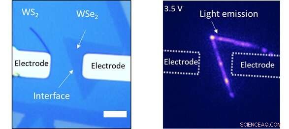 Crafting Atomically Thin Seams: Advanced In-Plane Heterostructures for Light Manipulation