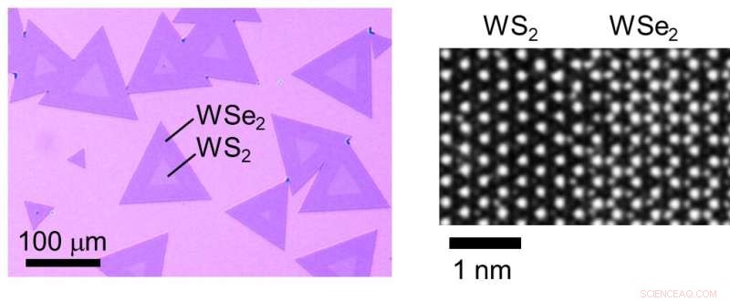 Crafting Atomically Thin Seams: Advanced In-Plane Heterostructures for Light Manipulation