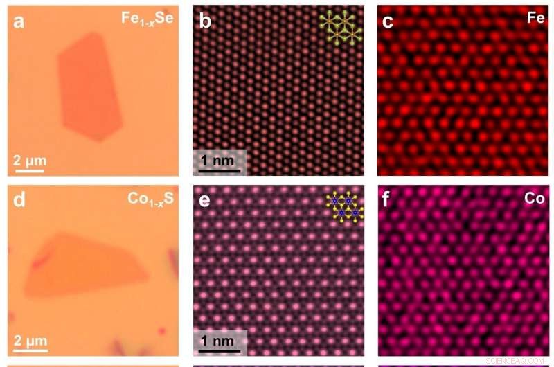 Universal Dual‑Precursor Method Enables Large‑Scale Growth of Non‑Layered 2D Transition Metal Chalcogenides