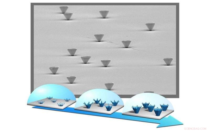 Tsukuba Scientists Unveil Micrometer-Scale Hollow Crystal Vessels for Nanotech Storage
