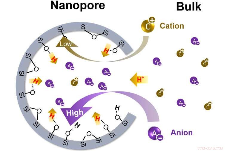 How Nanopores Shape Ion Transport and Acidic Microenvironments