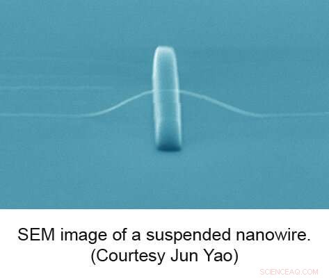 Dual-Mode Nanotransistor Sensor Captures Electrical & Mechanical Activity in Cardiac Cells