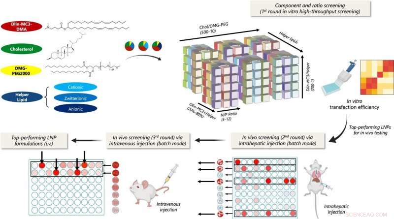 Revolutionary Platform Promises Easier, Affordable Gene Medicine Delivery