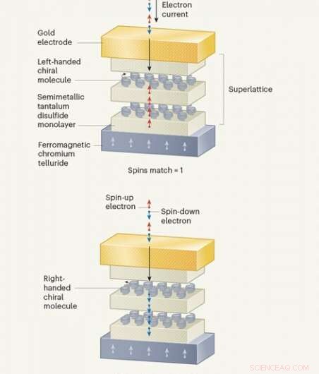 Understanding Chirality and Its Role in Chiral-Induced Spin Selectivity