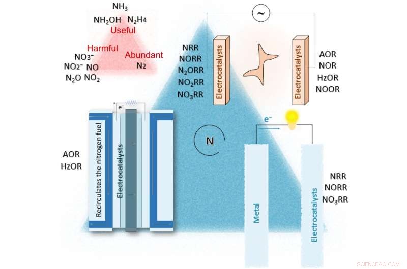 Scientists Urge Further Research to Restore Nitrogen Cycle Balance