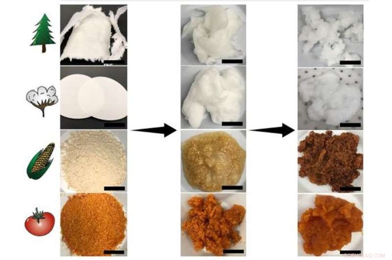 From Compost to Electronics: Bio-Based Materials Recover Rare Earth Elements