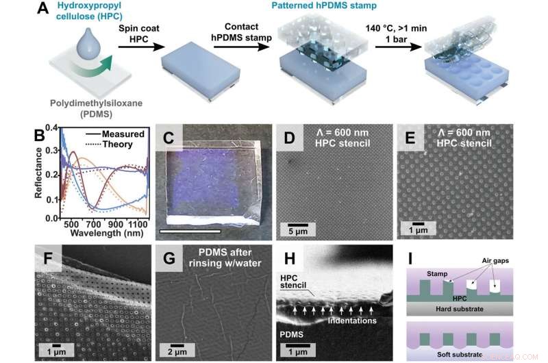 Innovative In‑Situ Technique Enables Rapid Fabrication of Ordered Gold Nanoparticle Arrays with Enhanced Plasmonic Performance