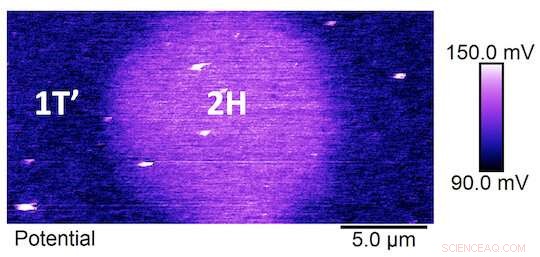 Harnessing 2D Molybdenum Telluride Boundaries for Electrical Generation