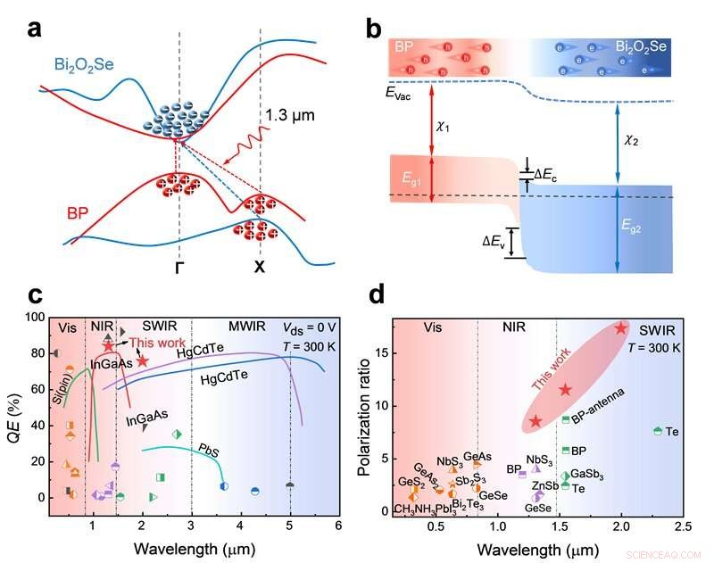 High-Efficiency Infrared Photodetection Enabled by Novel van der Waals Heterostructures