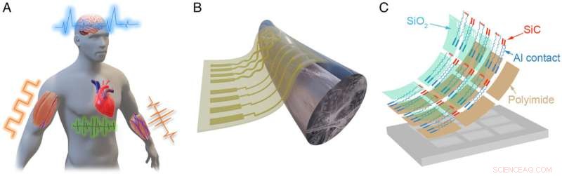 Ultra-Thin, Durable Implantable Material Promises Breakthrough in Spinal Cord Injury & Parkinson’s Treatment