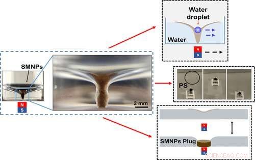 Harnessing Magnetic Fields for Precise Remote Control of the Air‑Water Interface