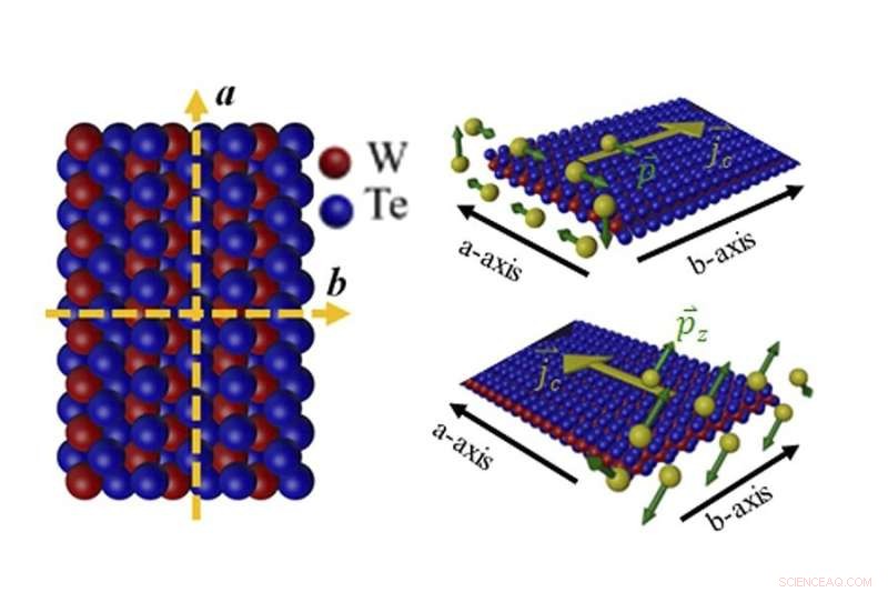 Researchers Switch Magnetic States Using Spin Current, Advancing Quantum Technology