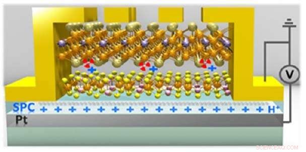 Electric‑Gate Control of Magnetic Coupling in van der Waals Heterostructures