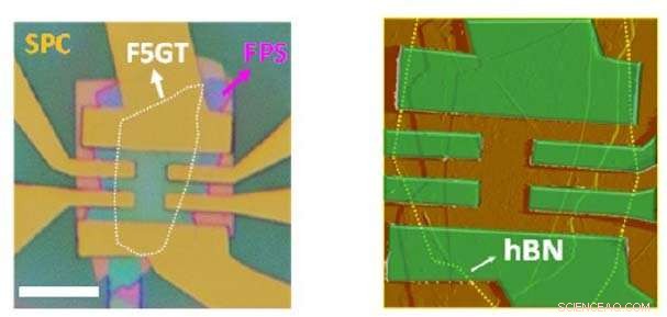 Electric‑Gate Control of Magnetic Coupling in van der Waals Heterostructures