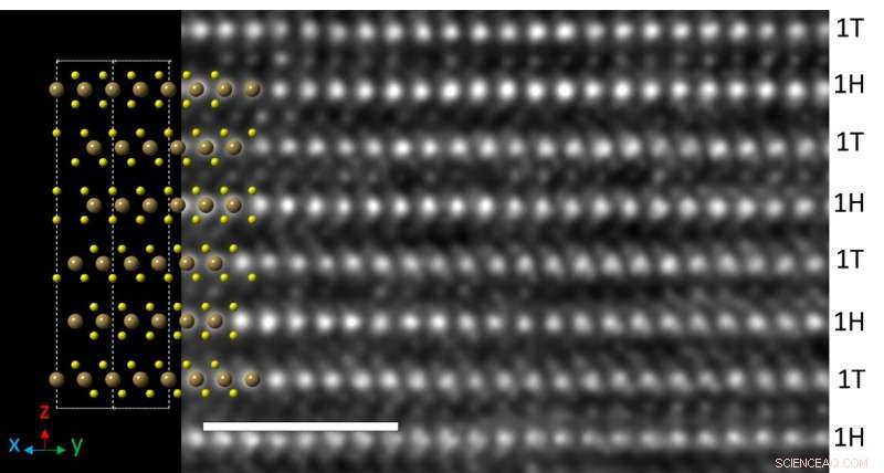 Breakthrough in 2D Materials: Multi‑Behavior Layers Integrated into a Single Bulk Compound