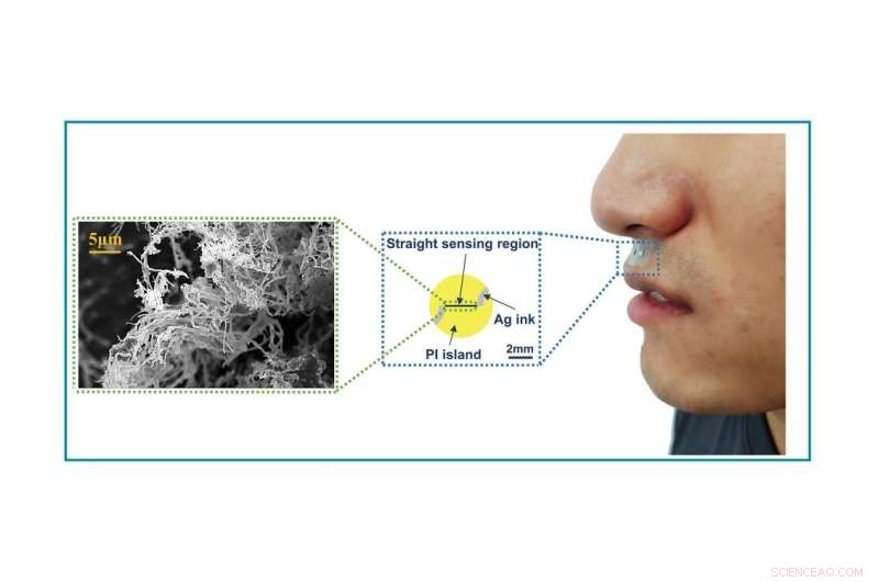 New Water‑Resistant Gas Sensor Enables Breath‑Based Detection of Nitrogen Dioxide for Early Pulmonary Disease Screening