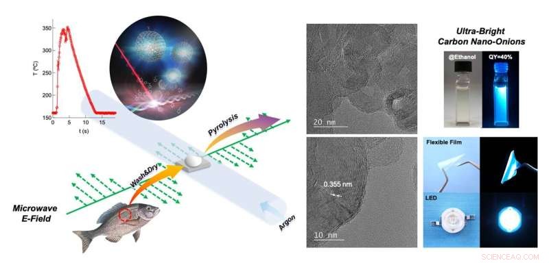 From Fish Scales to High‑Quality Carbon Nanomaterials via Rapid Microwave Pyrolysis