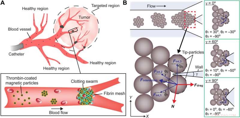 Microrobots Swarms for Targeted Medical Embolization: Enhancing Junction Integrity