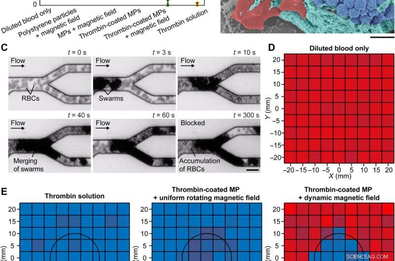 Microrobots Swarms for Targeted Medical Embolization: Enhancing Junction Integrity