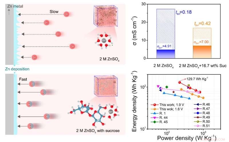 Sucrose-Enhanced Electrolyte Enables Safe, Dendrite-Free Aqueous Zinc Batteries