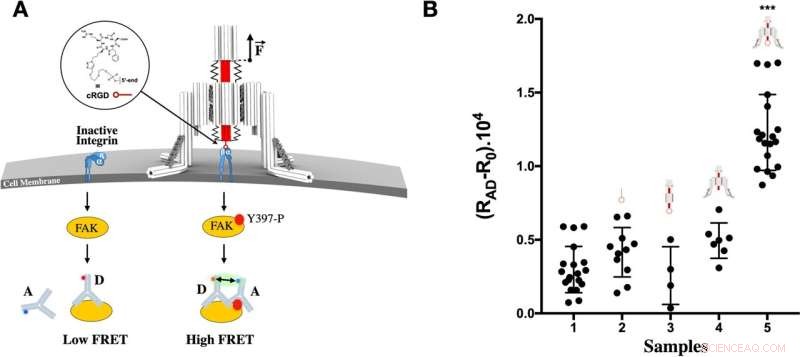 DNA‑Engineered Nano‑Robot Deciphers Cellular Signaling