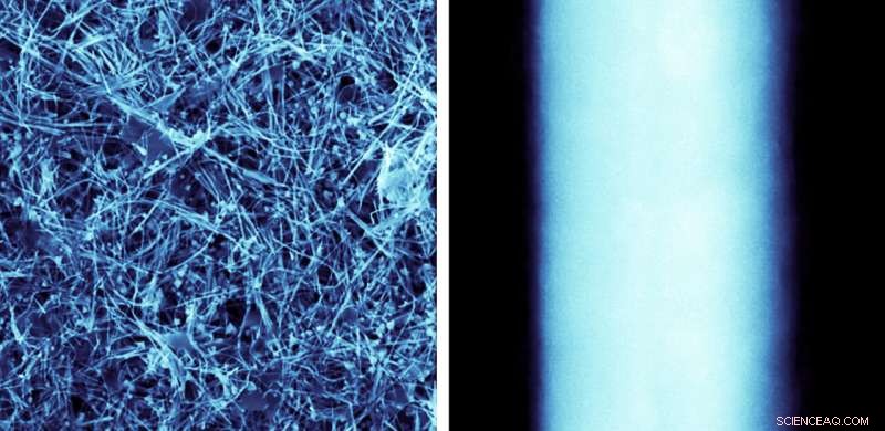 Scientists Deploy Copper Nanowires to Halt Disease Transmission