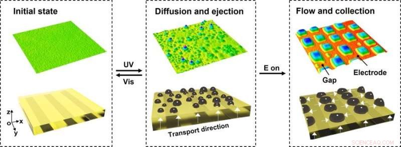 Programmable Artificial Skin Achieves Natural Sweat Response