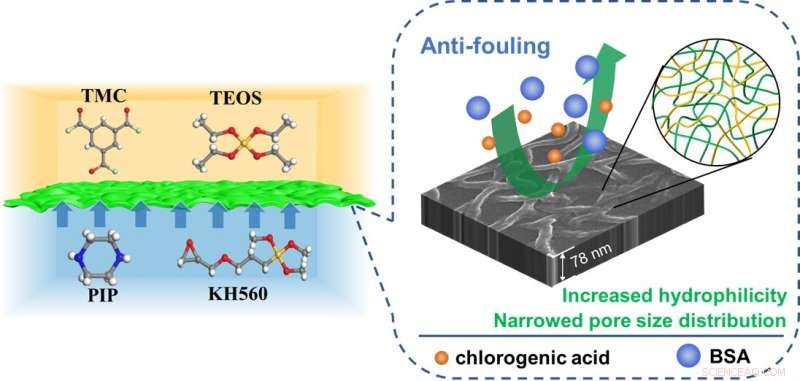 Researchers refine pore size distribution to enhance antifouling nanofiltration membranes
