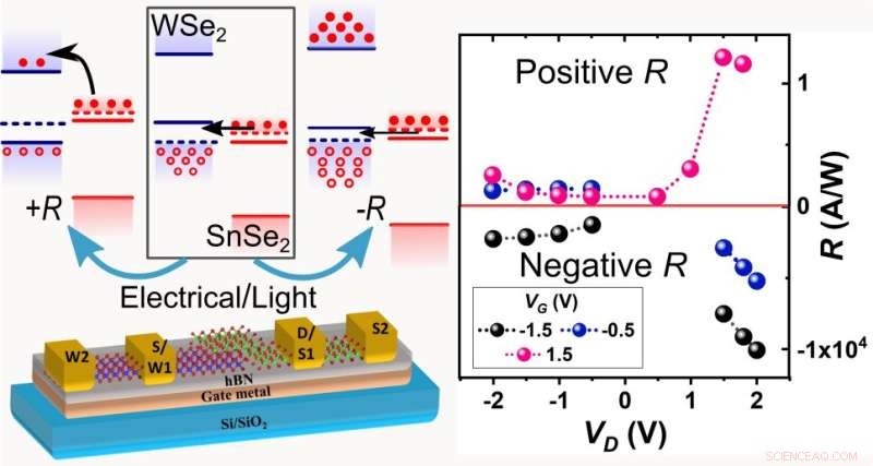 Designing Hetero-Interfaces for Novel Optoelectronic Functions via Large-Scale Computations