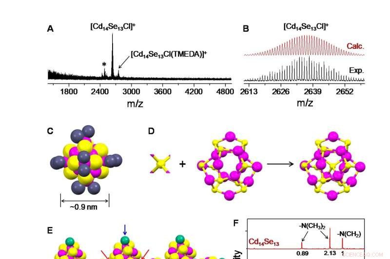 Unveiling the Atomic Architecture of the Smallest Semiconductor Cluster