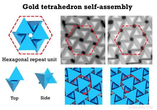 Revolutionizing Materials: 2D Bottom‑Up Assembly Generates Novel Twisted Structures