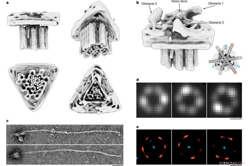 Revolutionary DNA-Based Nanomotor Sets New Milestone in Bioelectric Engineering