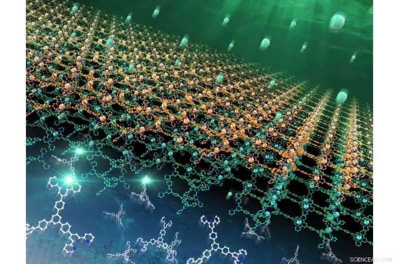 Self-Assembling 2D Coordination Nanosheets at Water–Dichloromethane Interfaces