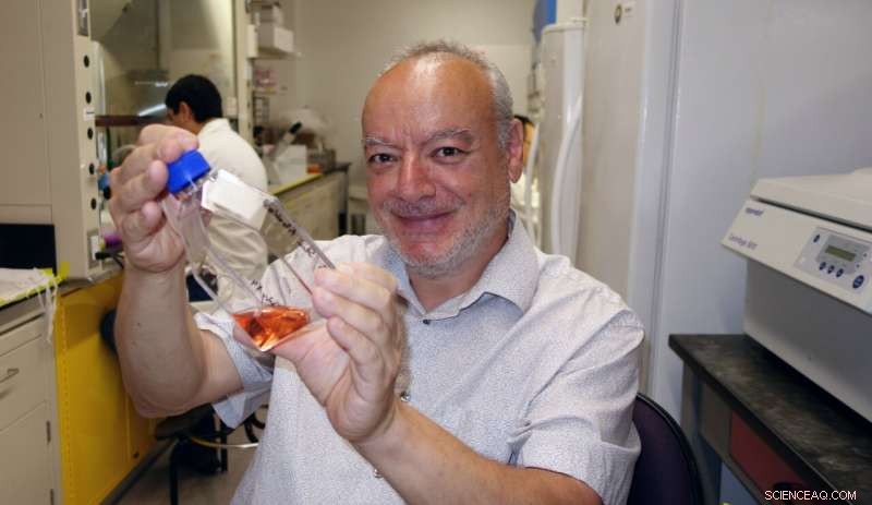 Developing a Novel Gene‑Targeted Therapy for Blood Cancers