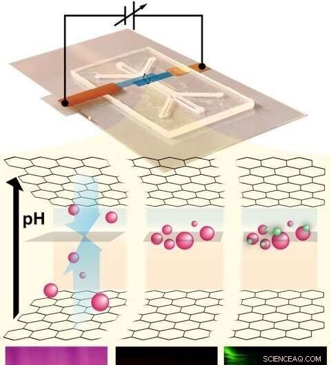 Revolutionary Graphene Technique Enables Simultaneous Biomolecule Isolation and Sensing