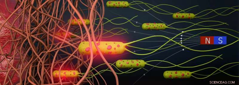 Bacterial Biohybrid Microrobots: A Promising Approach to Targeted Cancer Therapy