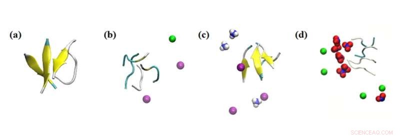 How CeF3 Nanoparticles and Ions Shape β‑Sheet Formation in Amyloid β Proteins