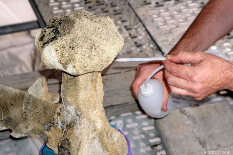 Nanoparticles Offer a Breakthrough Solution for Preserving Porous Stone Historic Buildings