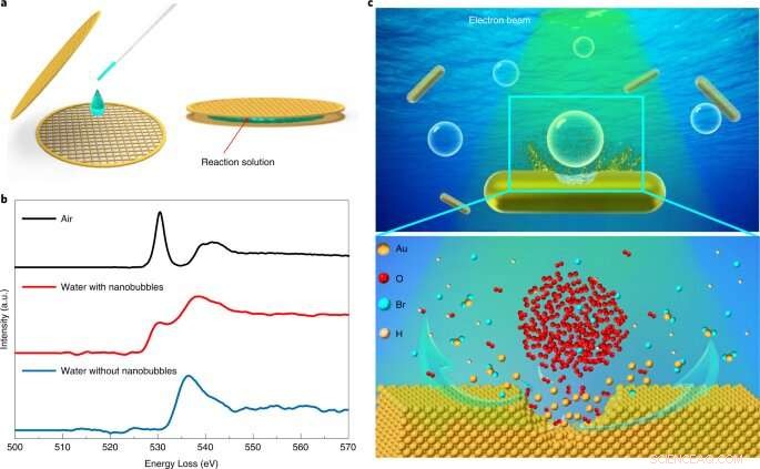Gas Nanobubbles: Accelerating Solid‑Liquid‑Gas Reactions for Enhanced Energy and Corrosion Control