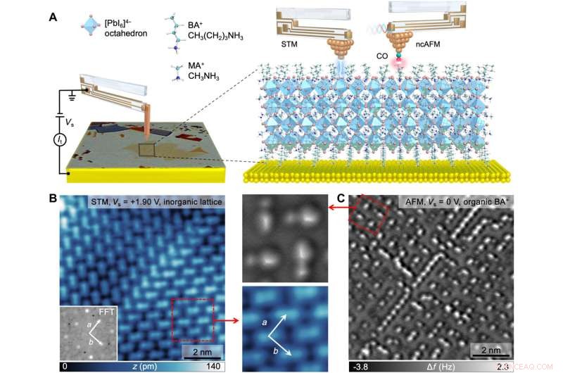 Sub‑Angstrom, Non‑Invasive Imaging of Atomic Structures in 2D Hybrid Perovskites