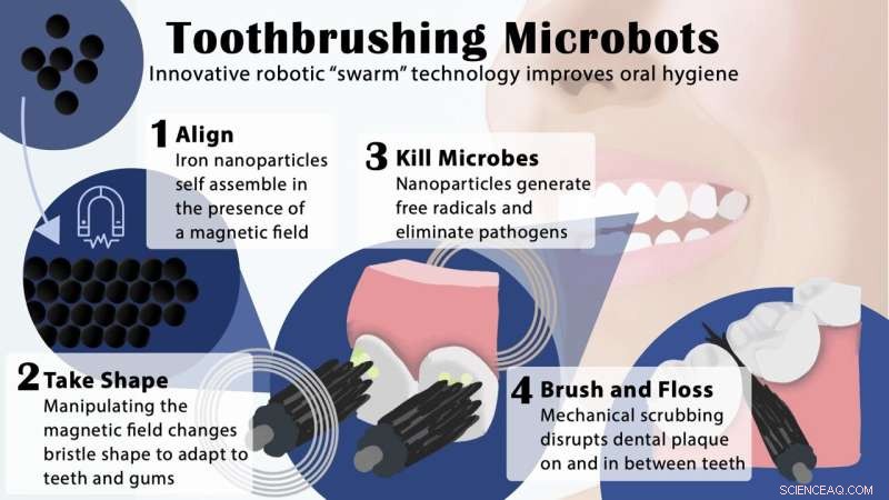 Microscopic Iron‑Oxide Nanorobots Clean Plaque, Floss, and Kill Decay Bacteria