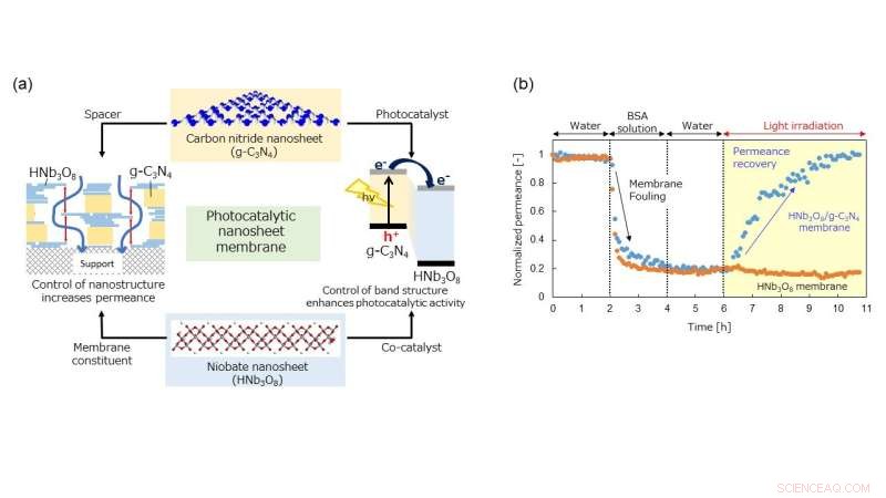 Light‑Activated Photocatalytic Membrane Enables Self‑Cleaning and Enhanced Water Purification
