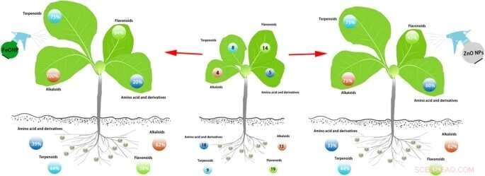 Metal Nanoparticles: Powerful Regulators of Plant Growth