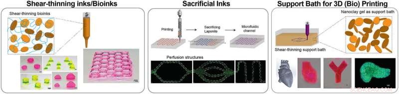 Colloidal Nanodiscs Enable Precise 3D Bioprinting of Complex Tissue Models