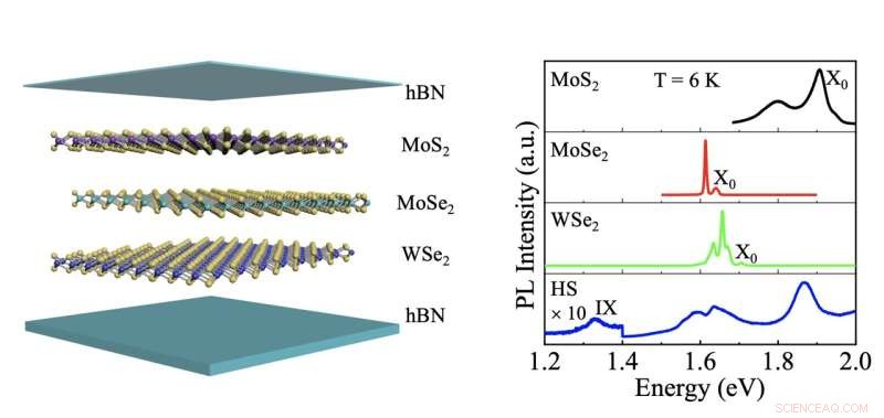Researchers Create 2D Material with Long-Lived Excitons, Boosting Valleytronics Applications