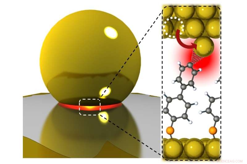 Cambridge Researchers Use Single-Atom Tractor Beams to Transform Chemical Catalysis