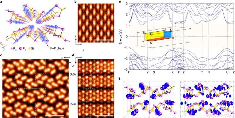 Hybrid-Dimensional Excitons Unveiled in Layered Silicon Diphosphide (SiP₂)