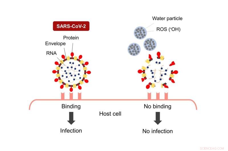 Nano‑Electrostatic Atomized Water Disrupts SARS‑CoV‑2: A New Safe Disinfection Approach